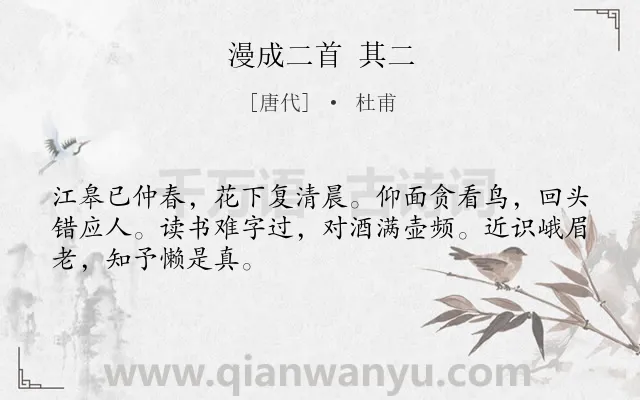 《漫成二首 其二》作者是唐代的杜甫.诗词全文约共48字.