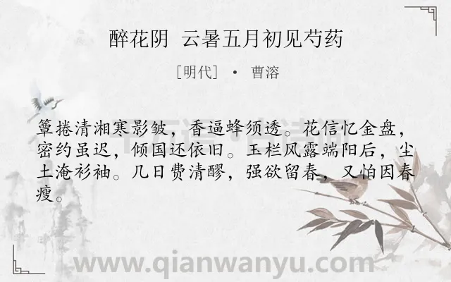 《醉花阴 云暑五月初见芍药》作者是明代的曹溶.诗词全文约共62字.