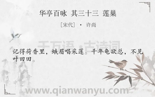 《华亭百咏 其三十三 莲巢》作者是宋代的许尚.诗词全文约共24字.