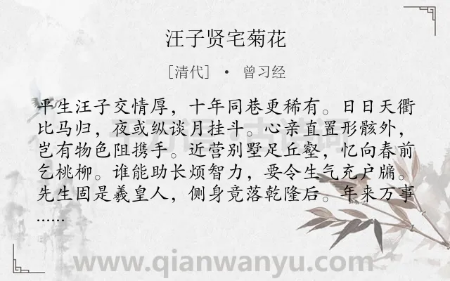 《汪子贤宅菊花》作者是清代的曾习经.诗词全文约共256字.
