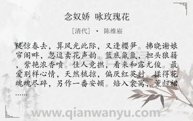 《念奴娇 咏玫瑰花》作者是清代的陈维崧.诗词全文约共120字.
