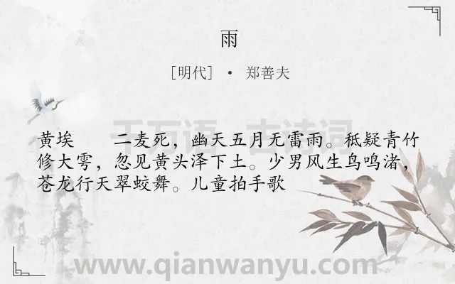《雨》作者是明代的郑善夫.诗词全文约共53字.